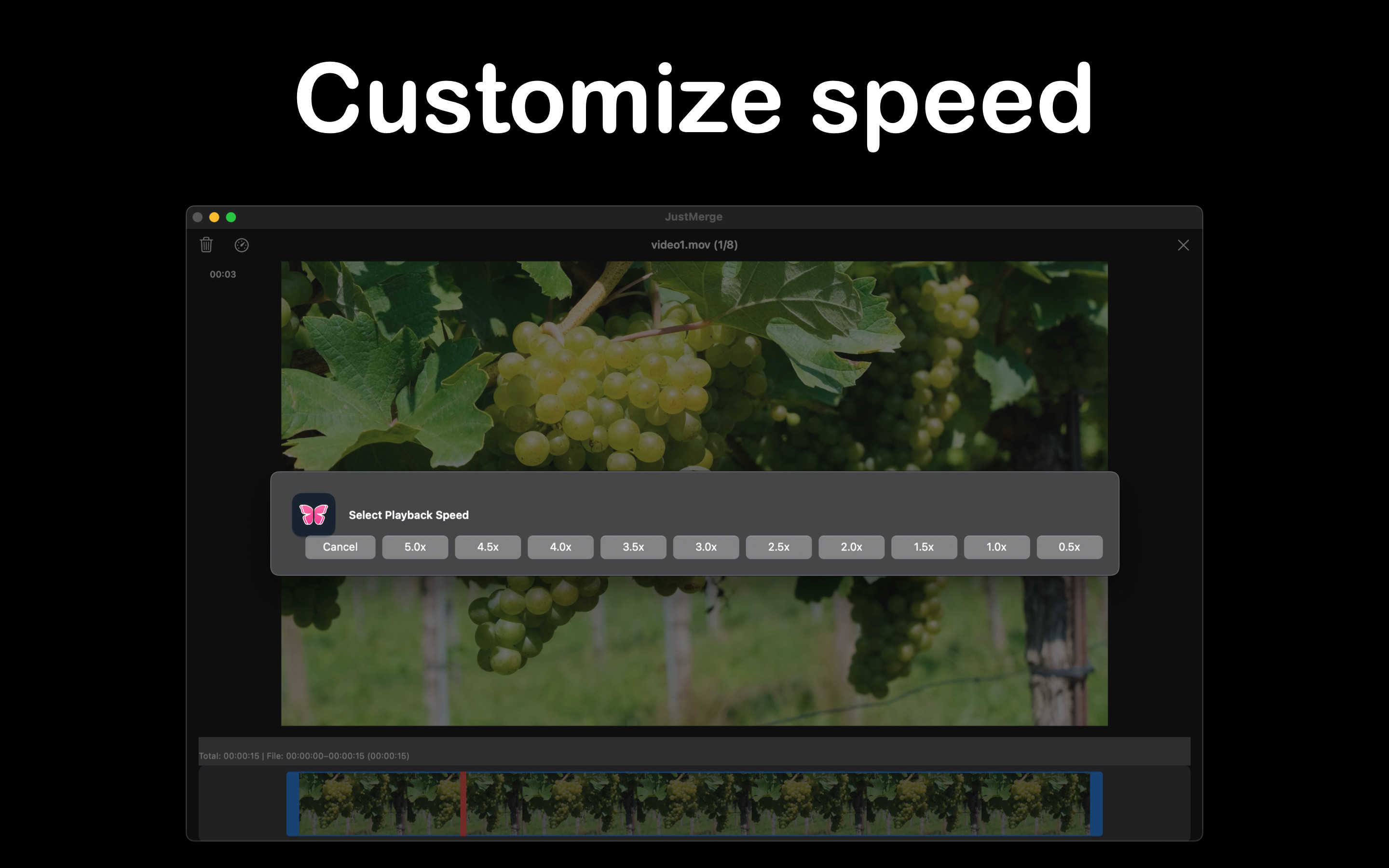 How to Adjust Video Speed